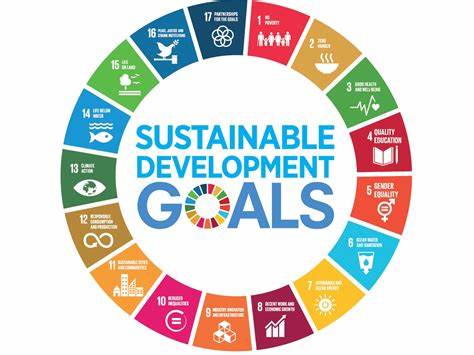 SAVe Sustainability Goals